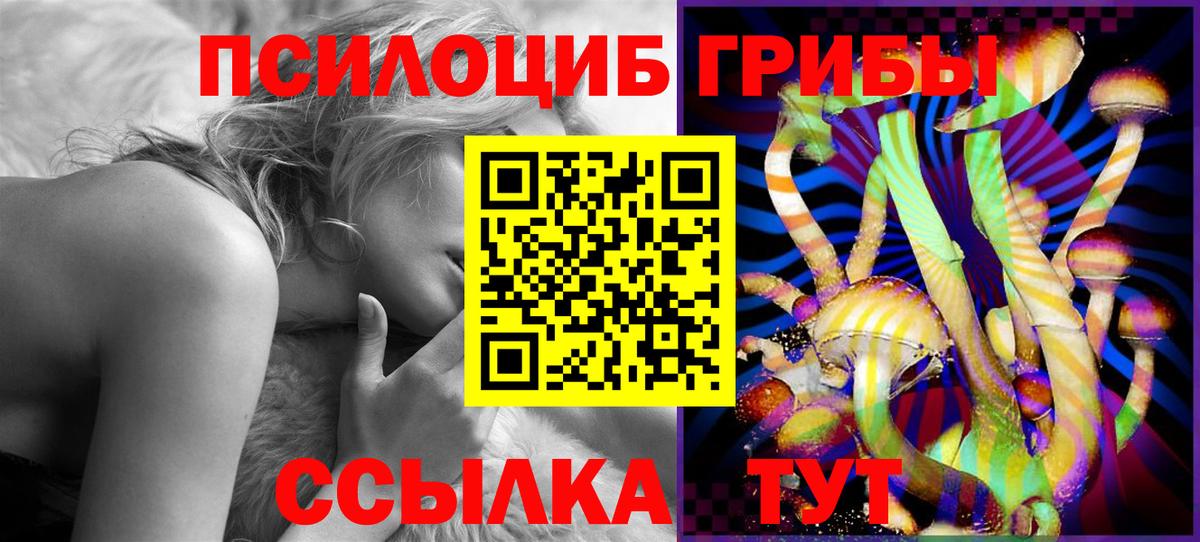 Псилоцибиновые грибы Magic Shrooms  Вход с VPN  Новосибирск 