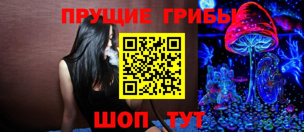 Галлюциногенные грибы Cubensis Новосибирск