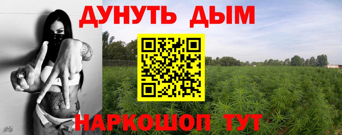 Новосибирск  Конопля Amnesia  Марихуана Ganja  Бошки марихуана White Widow  Вход с VPN 